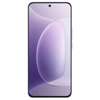 Honor 300