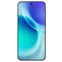 vivo X300