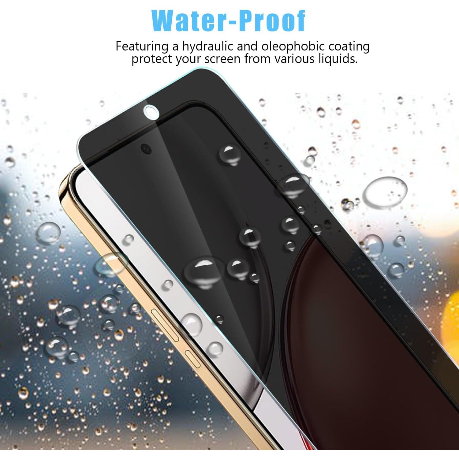 LCS63-243-003